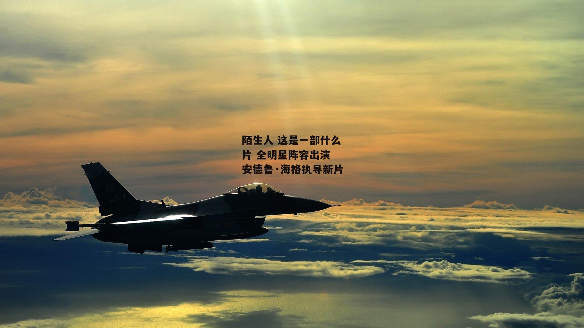 陌生人 这是一部什么片 全明星阵容出演 安德鲁·海格执导新片